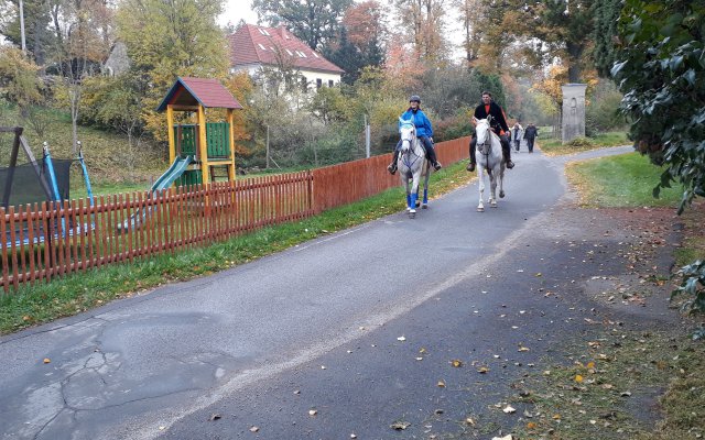 RYTÍŘSKÝ A LUKOSTŘELECKÝ TURNAJ O POKLAD SV. VÁCLAVA