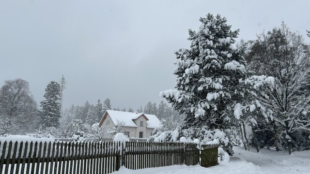 Květná pod sněhem 2023