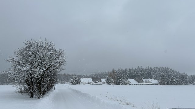 Květná pod sněhem 2023